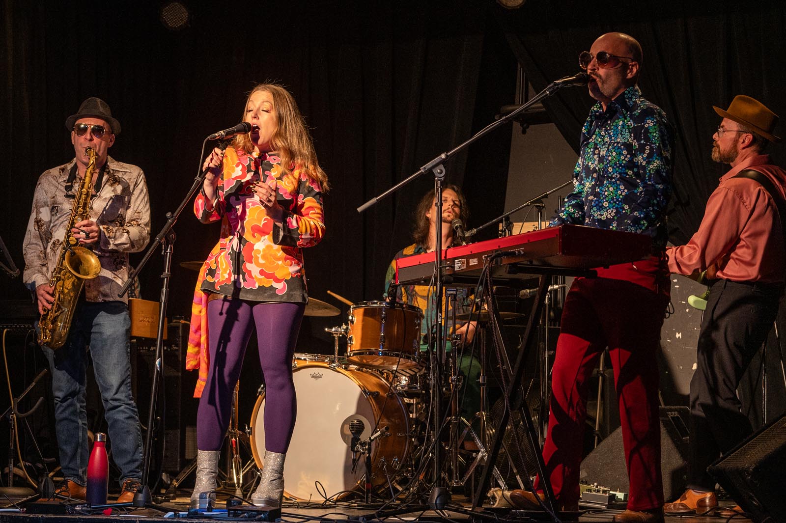 The Honky Cat band live