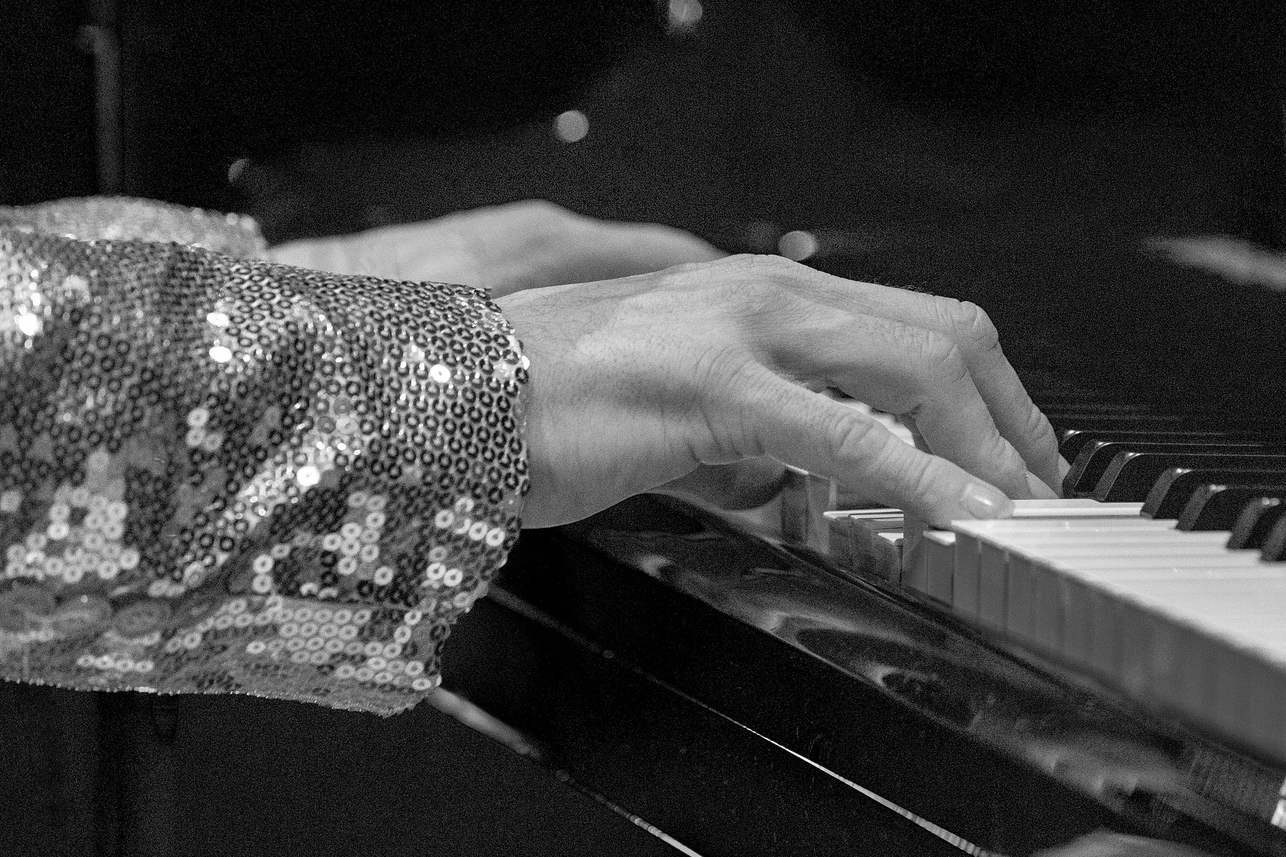 The Honky Cat live performance