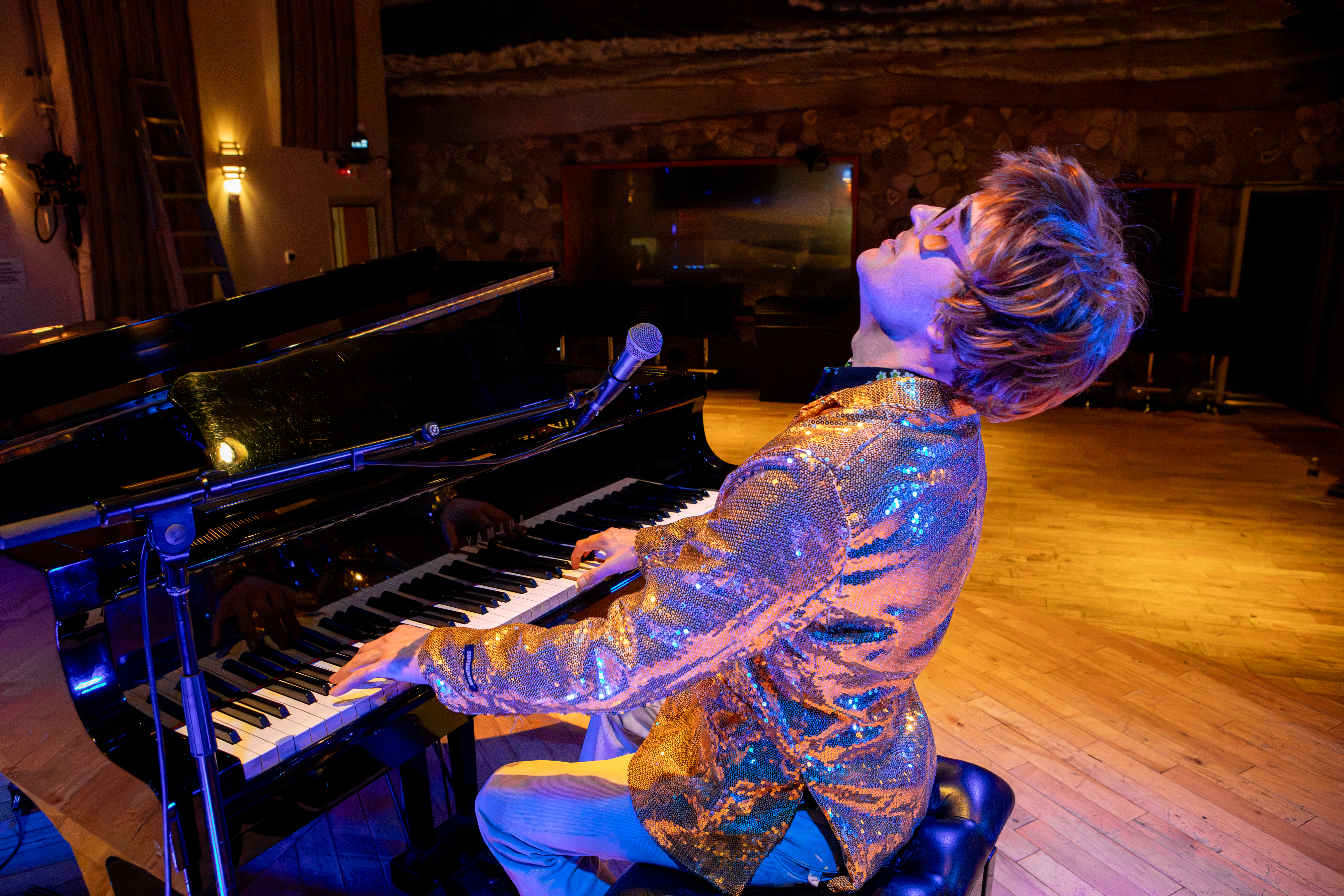 The Honky Cat in concert