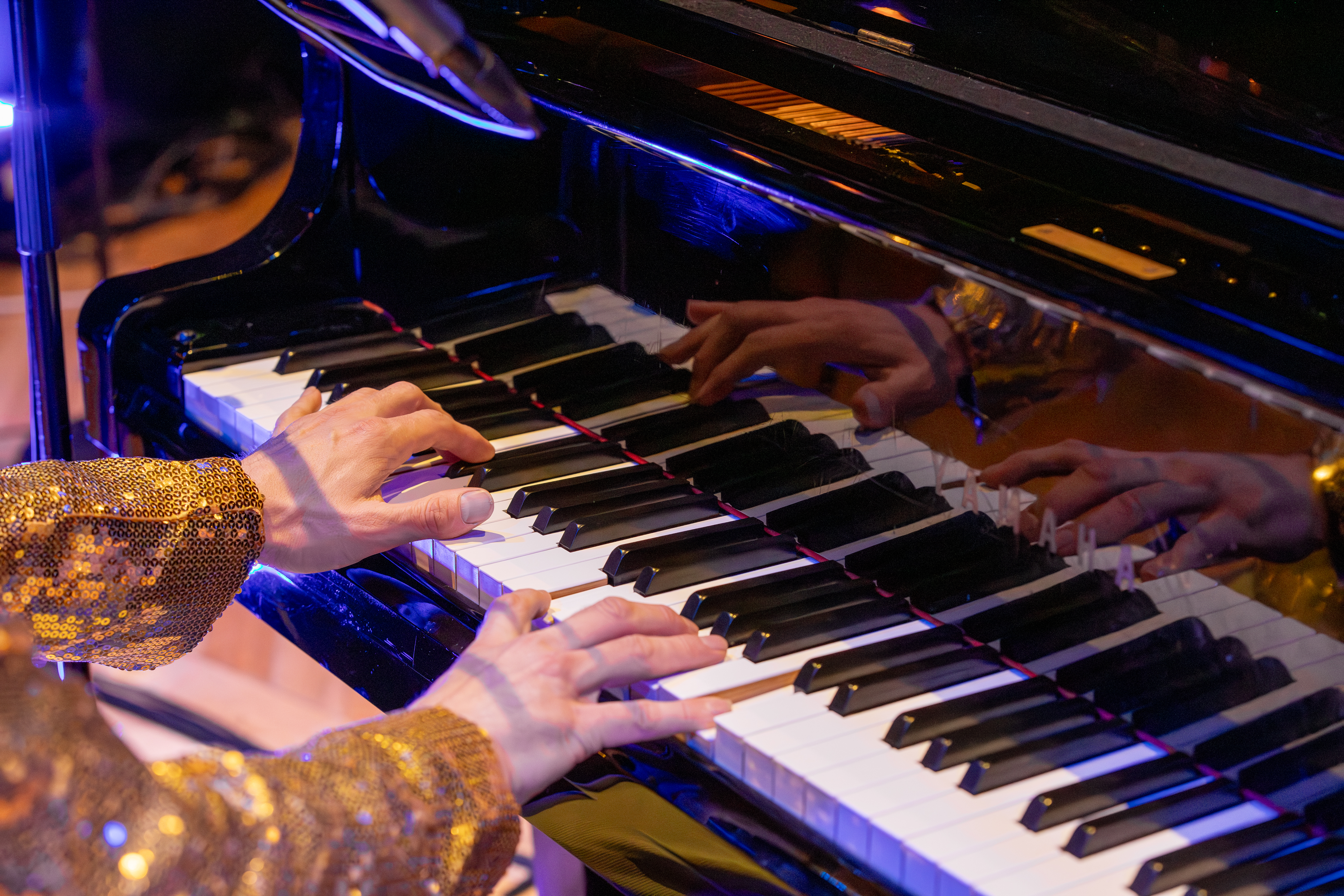 The Honky Cat stage shot