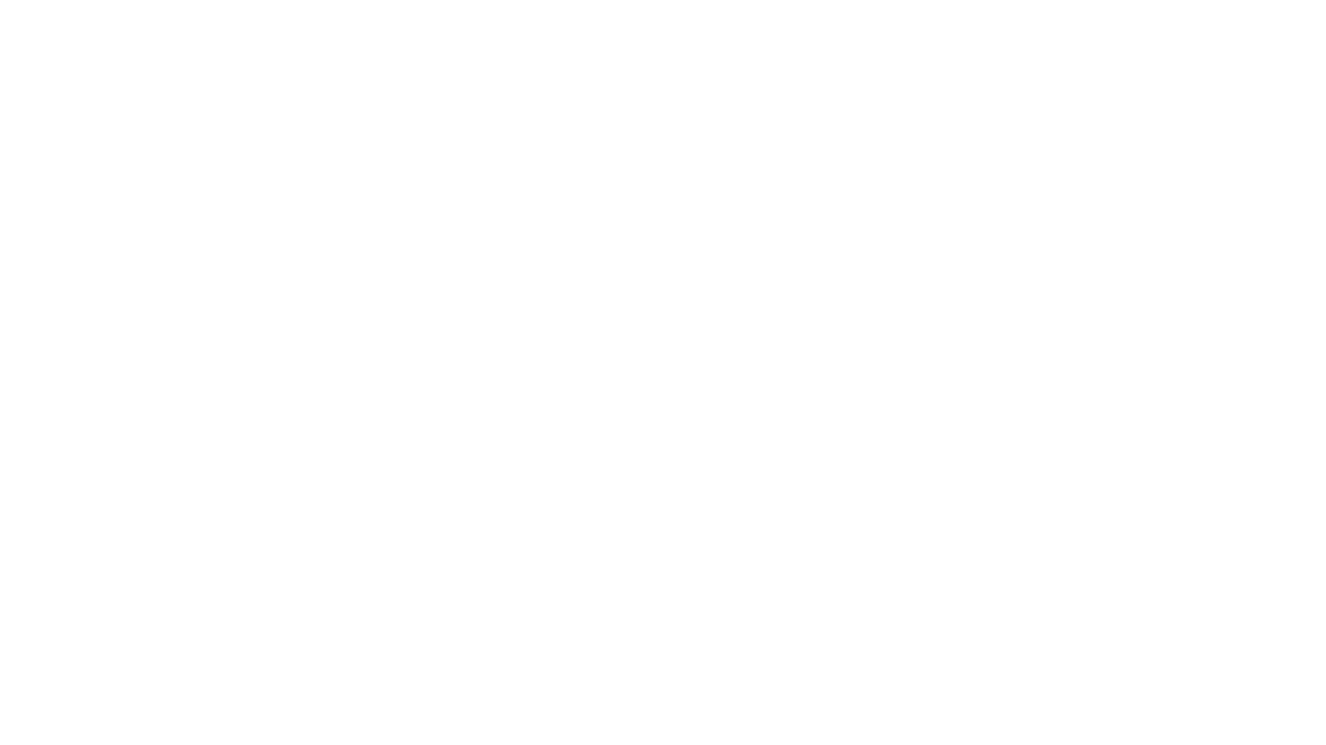The Honky Cat