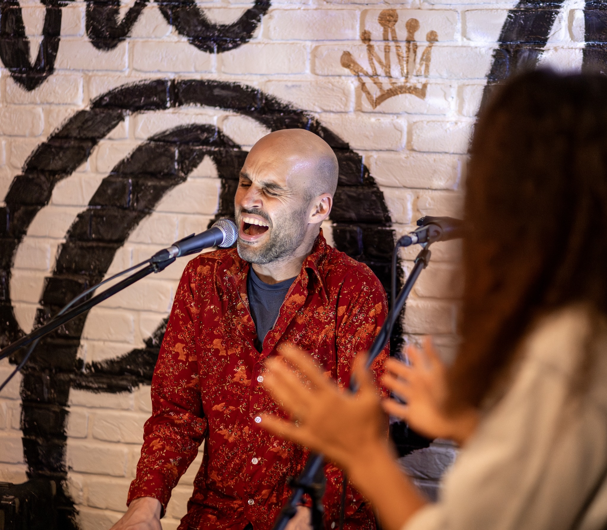 The Honky Cat live performance