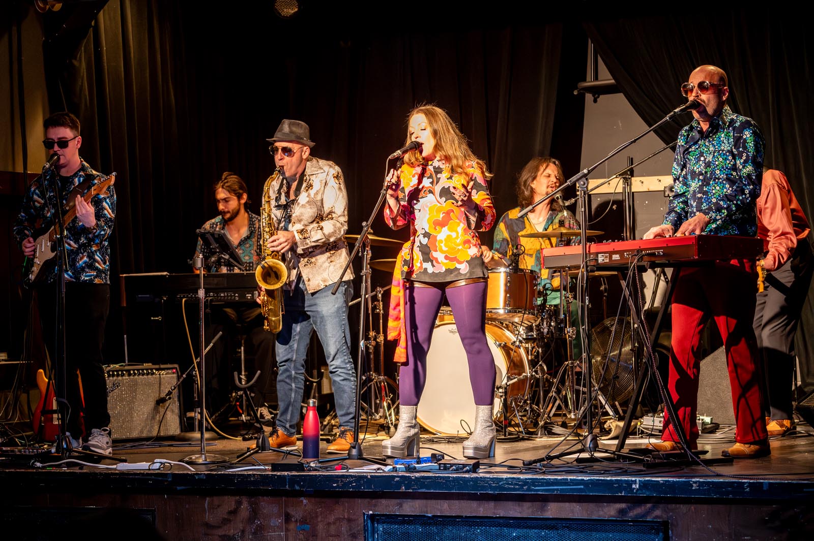 The Honky Cat in concert